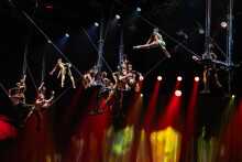 OVO - Cirque du Soleil