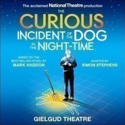 The Curious Incident of the Dog in the Night-Time The Curious Incident of the Dog in the Night-Time
