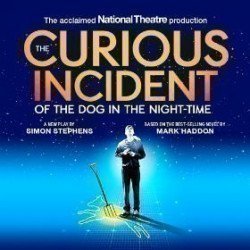The Curious Incident of the Dog in the Night-Time The Curious Incident of the Dog in the Night-Time