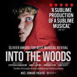 Into The Hoods