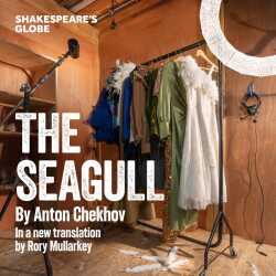 The Seagull